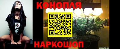 PSILOCYBIN Кимры
